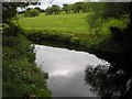 River Tame in SK14 4RF
