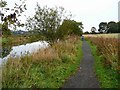 Path by the Forth and Clyde Canal in G65 9SG