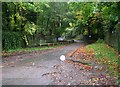 Mayfield Road on a rainy day! - Spring Gardens Lane in BD21 2RP