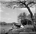 Temple Island circa 1960 in RG9 3DE