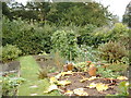 Vegetable garden at Hill Top in October in LA22 0LH