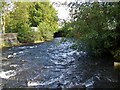 Afon Crafnant - downstream in LL27 0TZ