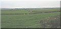 View south across grazing land towards Rhydydefaid Farm in LL65 3YS