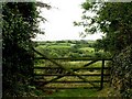 Farm gate at Gluvian in TR9 6EH