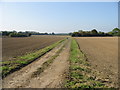 Footpath and track looking WSW from Herne Bay Road in CT3 4NG