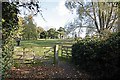 Gate to St Alphege church, Seasalter, Kent in CT5 4BY