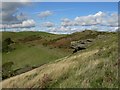 Rock outcrops on Mynydd Meiros in CF72 9NG