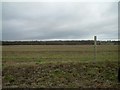 Looking  South East towards Elm Copse in RG17 0RD