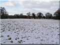 Arable field in snow in Blyford