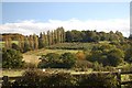 View from footpath south of Thundersley Glen in SS7 1AJ