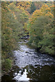 River Ardle at Bridge of Cally in PH10 7JL