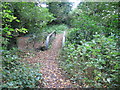 Bridge over Cogshall Brook in Kennel Wood in CW9 6AU