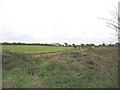 View south along the disused Central Anglesey railway in Llannerch-y-Medd Community