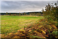 Field near Balwearie in AB31 5RN