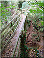 Footbridge over Bottom Dumble in NG4 4PN