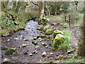 Stream between Trereife and Trewidden in TR20 8TB