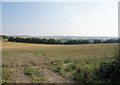Fields South of Crawley in SO21 2QB