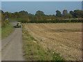 Stubble and farm road, Ham in SN8 3RF