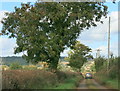 2008 : Pople's Lane, near Mells in BA11 3RH