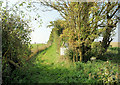 Footpath South of Kirton Farm in SO21 2PJ