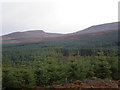 Beinn Uan Across Clava Forest in IV2 5EP