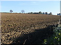 Ploughed field in RG18 0TN