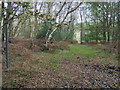 Footpath on Bucklebury common in RG7 6TH