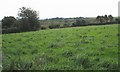 Pasture land above the Cors Bodwrog Fen in Bodffordd Community