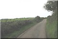 Lon Bodwrog Lane north of Bryntanchwy in Bodffordd Community