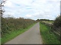 View back along a straight stretch of Lon Bodwrog Lane in Bodffordd Community