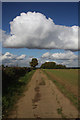 Bridleway to Timworth Heath in The Fornhams & Great Barton Ward
