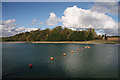 Reservoir at Springhill Covert in The Fornhams & Great Barton Ward