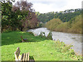 Looking down the River Wye in GL17 9NE