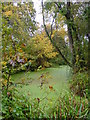 Mediaeval Fishponds - Park Farm, Thornbury in BS35 1ST