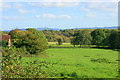 2008 : Pasture near Rock House farm in BA11 3LJ