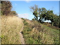 Path leading to the summit on Portsdown Hill in PO6 3LY