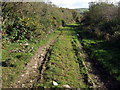 Track across Rhos Carne Coch in SA64 0JU