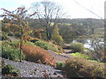 Autumn above the lake at the gardens in SA32 8HG
