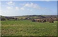 Fields near Caerlleon, Llanwinio in SA34 0DL