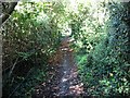 Looking NW along a footpath to Fishbourne in PO19 3JD