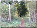 Footpath off the Yarmouth Road at Ufford in IP12 1LY