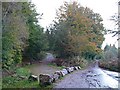 Forest track through Coed Mawr in NP10 8RQ