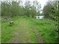 Footpath alongside the River Stour in CO10 0HN