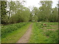 Footpath, Cornard Riverside Walk in CO10 0HN