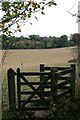 Footpath from Southerns Lane to Reeves Rest in CR5 3SN