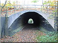 Elsenham: M11 Motorway subway in CM22 6DX