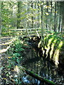 Bridge over Small Burn in Calderglen Country Park in G74 2DR