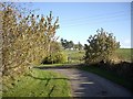 Bend in road by Milltown of Craigmyle in AB31 4HN