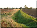Fen ditch in PE23 5DQ