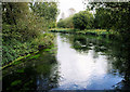 River Itchen, Easton in SO21 1ER